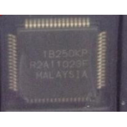 R2A11023F R2A11023F