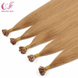 China Human Hair Raw Indian Hair Honey Blonde Pre Bonded Keratin Flat Tip Virgin Hair Bundles China Human Hair Raw Indian Hair Honey Blonde Pre Bonded Keratin Flat Tip Virgin Hair Bundles