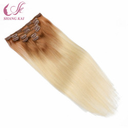 Full Cuticle 100% Virgin Clip in Hair Extensions Full Cuticle 100% Virgin Clip in Hair Extensions